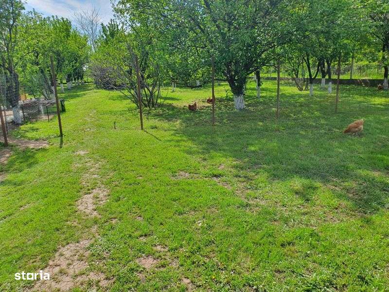 Teren Intravilan - Imagine principală: 4/5