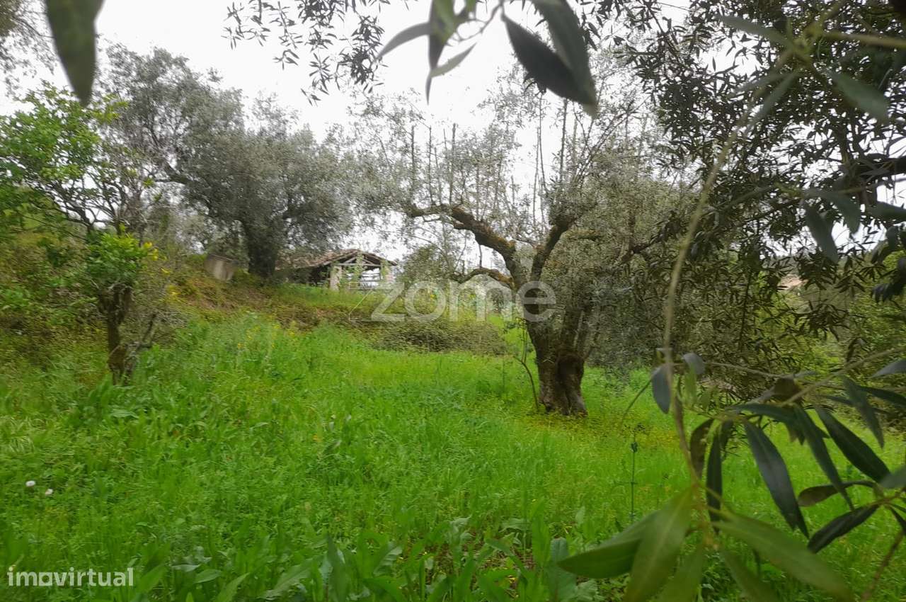 Terreno Rustico - Grande imagem: 2/25