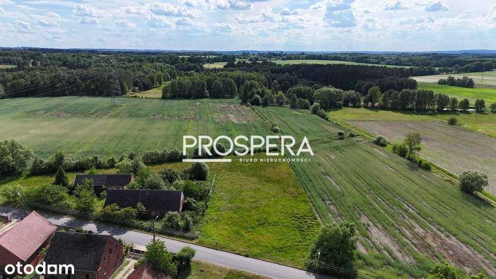 Działka budowlana 3000m2!Blisko Campus Domasławice - Pełny obrazek: 4/6