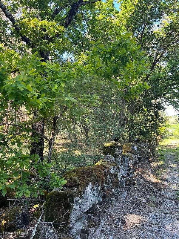 Terreno  para venda - Grande imagem: 4/15