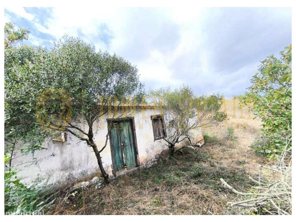 Terreno Misto com 5.040 m² - Casais do Vidigão - Santarém - Grande imagem: 2/4