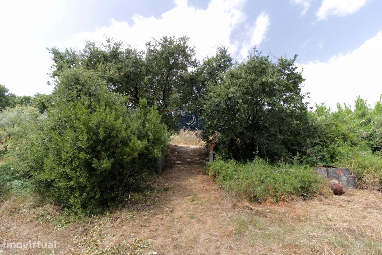 Quintinha de 2.995 m2 c/ moradia V2 e poço.-22