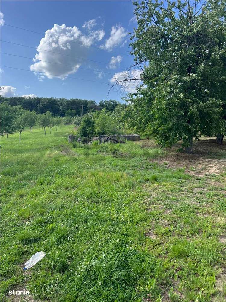 RECO TEREN CU PIVNITA IN PETREU - Imagine principală: 3/3