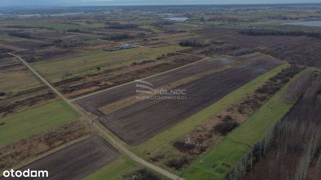 Działka produkcyjno-usługowa w Rzezawie - Pełny obrazek: 5/7