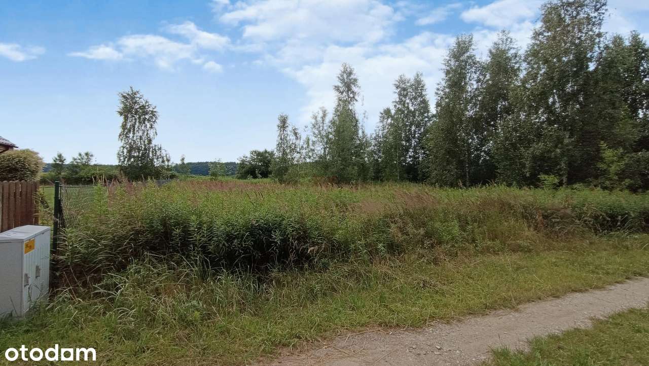 Brzezina, gm. Miękinia, 1010 m2, budowlana - Pełny obrazek: 5/8