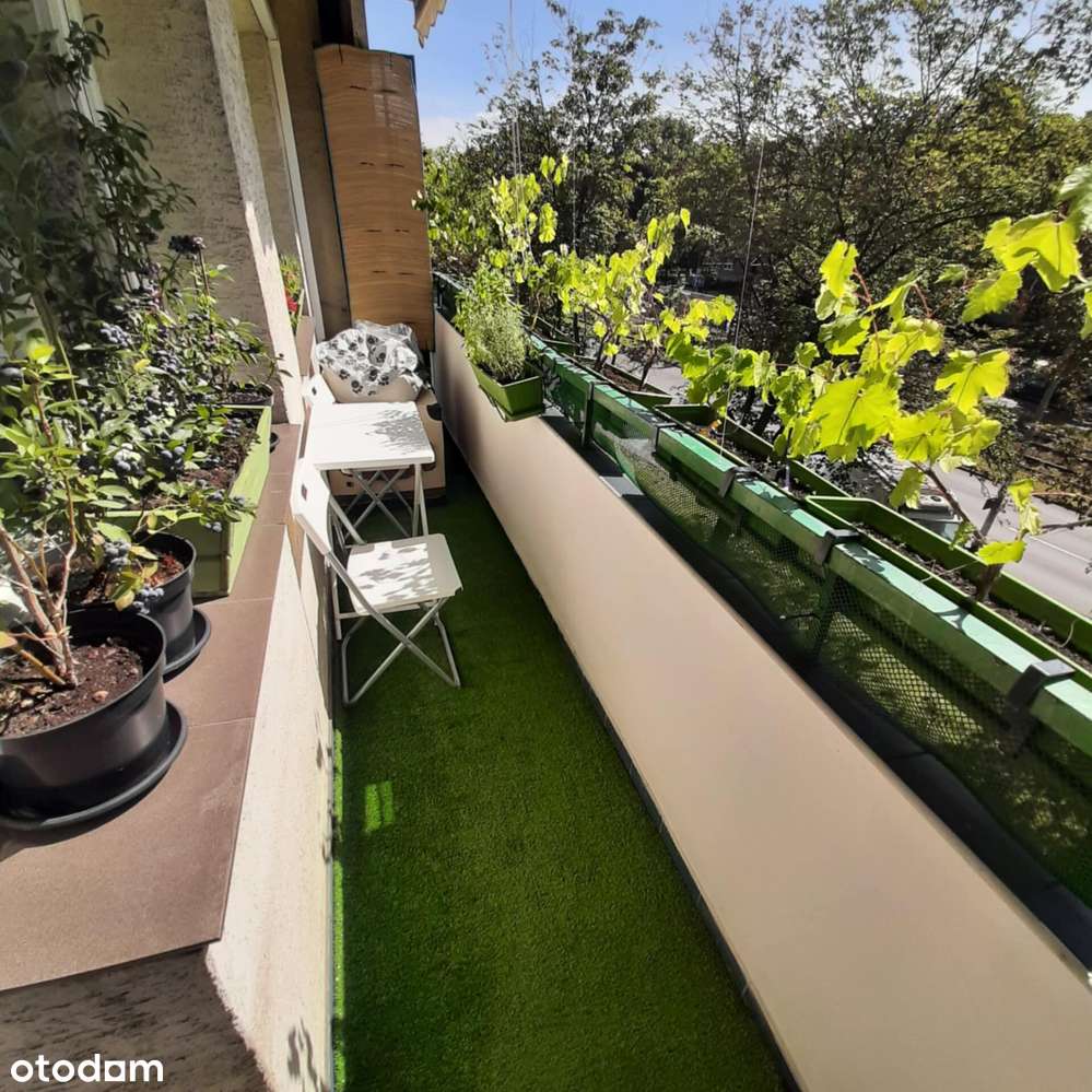 3-pokojowe mieszkanie z balkonem | Aleja Pokoju-3