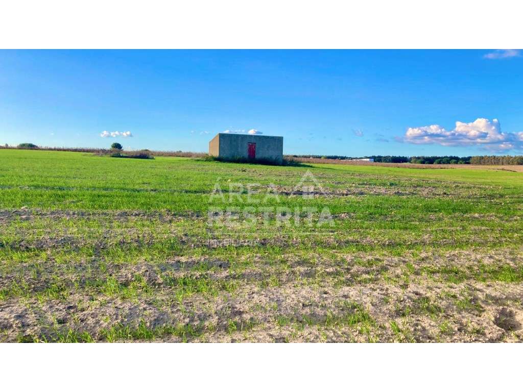 Terreno de 31250 m2 (3 ha) - Faias (Palmela) - Grande imagem: 5/24