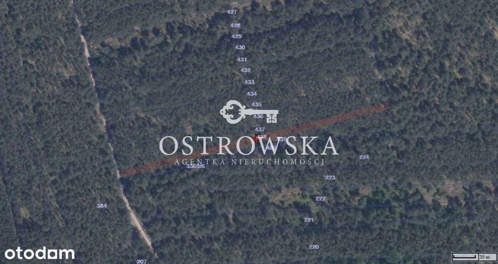 Działki rolne oraz działka leśna na sprzedaż - Pełny obrazek: 5/8