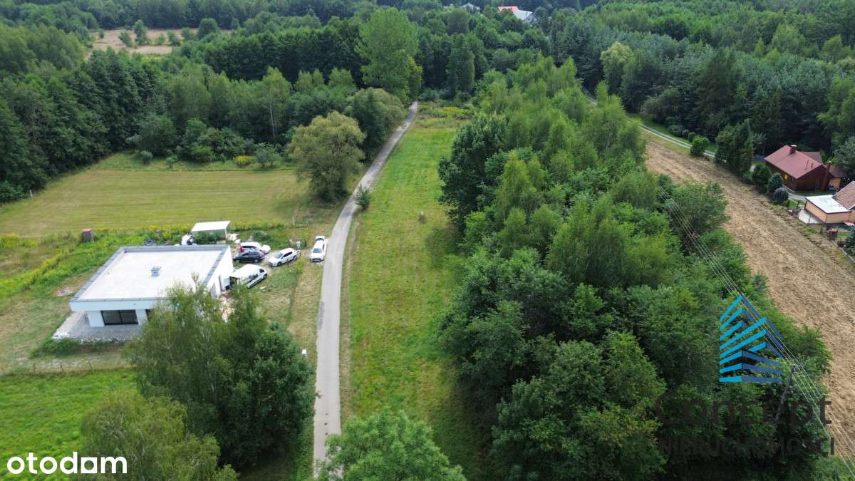 Działka Budowlana | 13a | Bucze | WZ | Nowa Cena - Pełny obrazek: 4/11