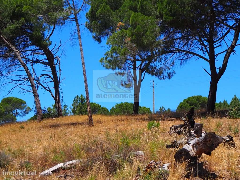 Terreno de 8ha com ruína a 5 minutos da praia da Aberta Nova e da a... - Grande imagem: 3/12