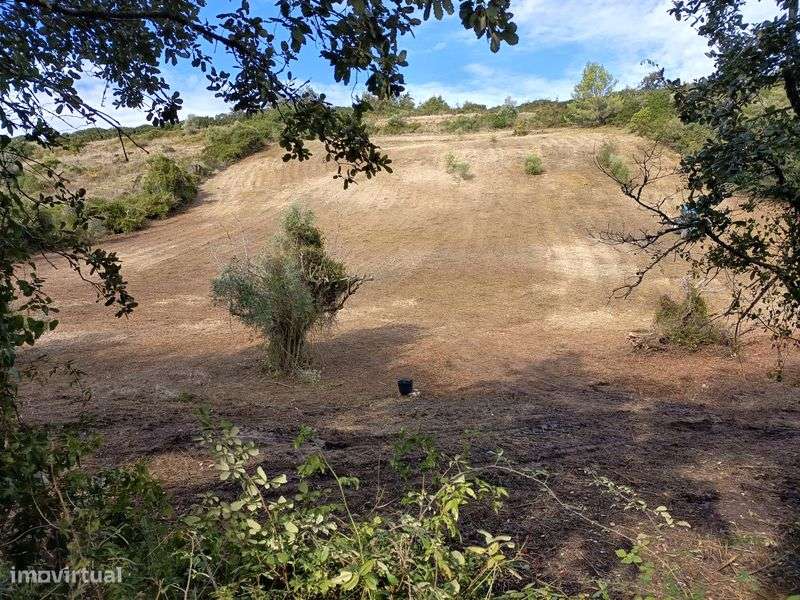 Vendo terreno em arruda dos vinhos - Grande imagem: 5/8