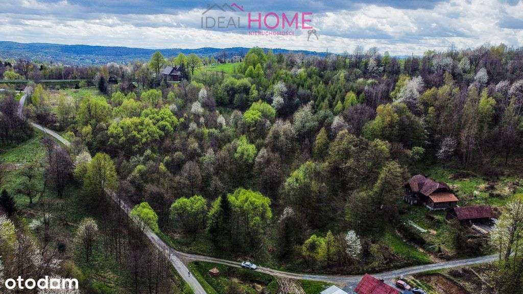 Działka z możliwością zabudowy - Domaradz - Pełny obrazek: 3/11