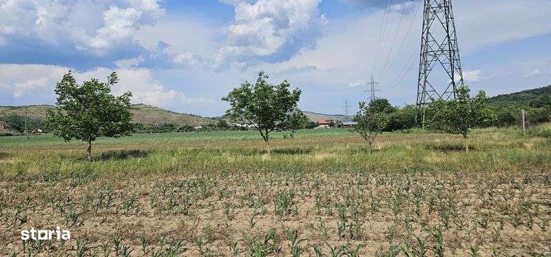 Vand teren intravilan intre Sard si Ampoita - Imagine principală: 4/5