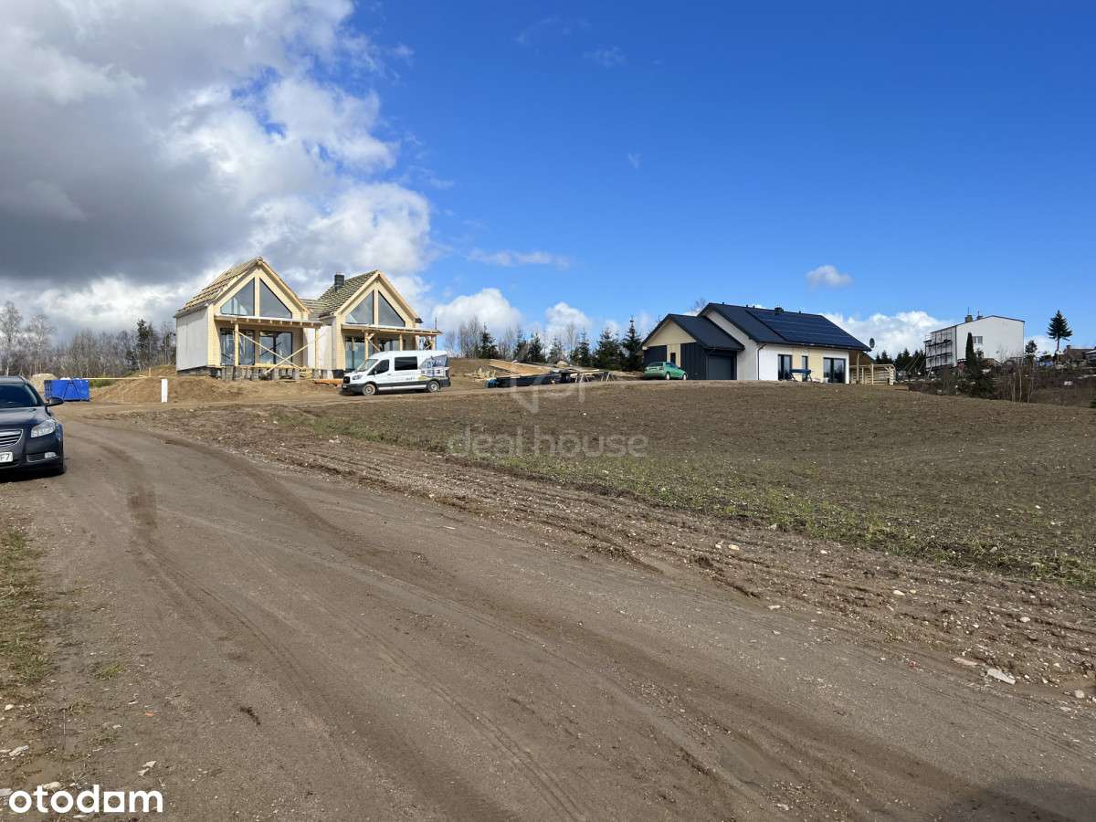 Pierwsza linia brzegowa, Jezioro Stacinko.-11