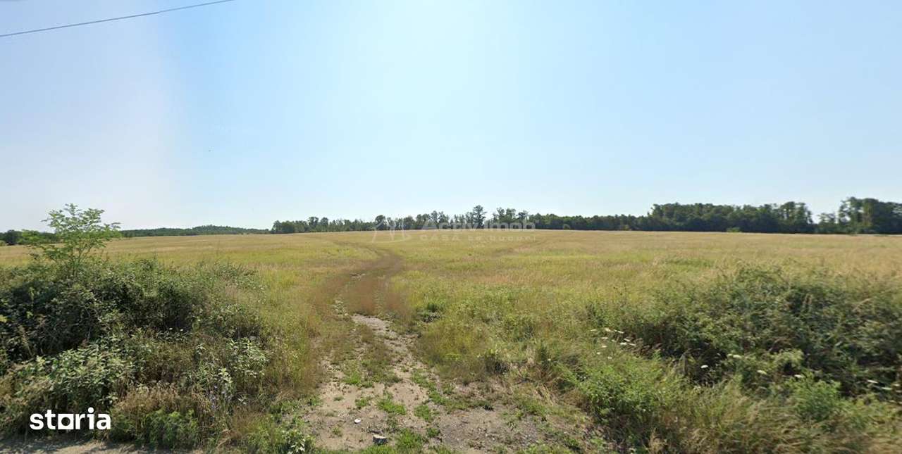 Forotic, Teren Drept Pentru Investitie, 13.2 Hectare (132.000 Mp.), La - Imagine principală: 5/8