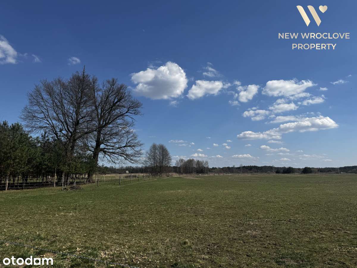 Działka rolna, w pobliżu zabudowań - Pełny obrazek: 4/5