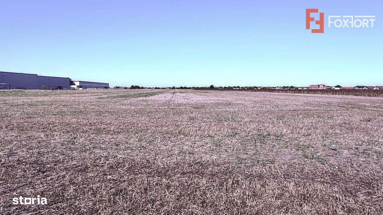 COMISION 0% Teren extravilan 40.000 mp - zona Sanandrei - Imagine principală: 3/4