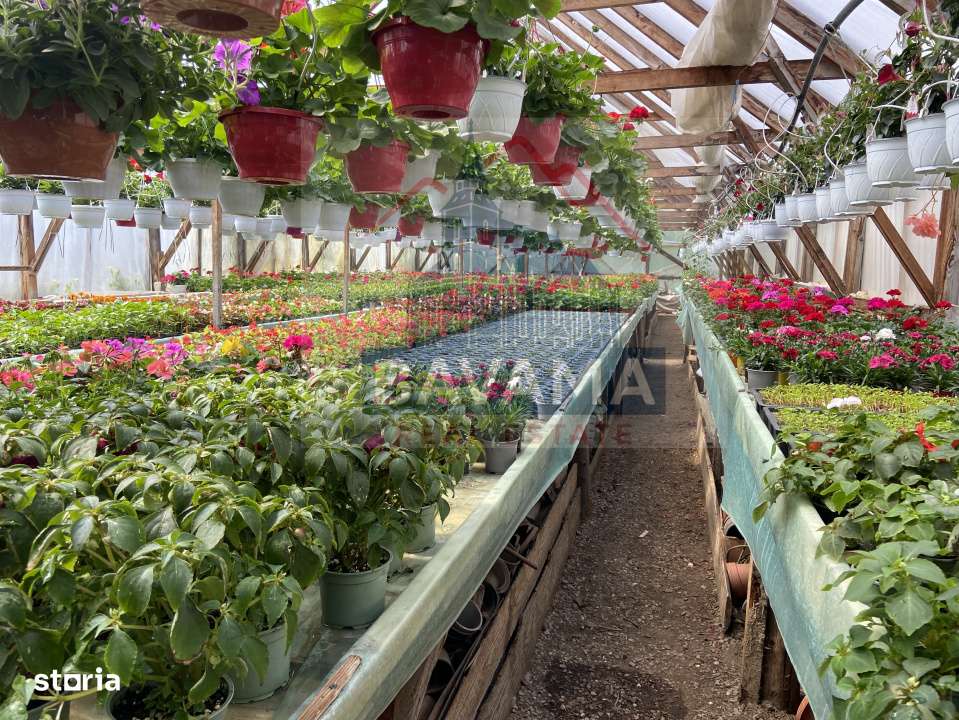 Casa de vanzare,  1354 mp teren,  Tarlungeni-12