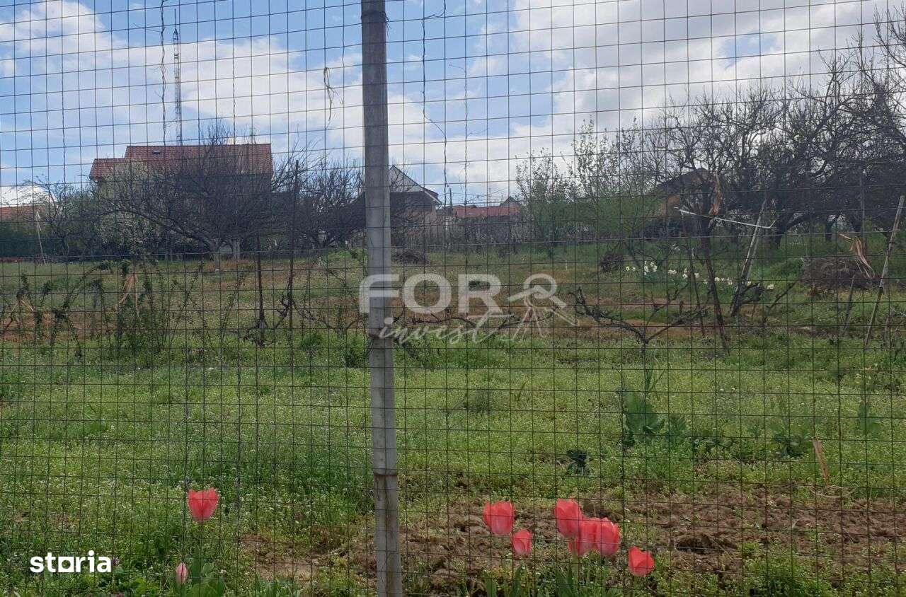 Teren intravilan de vanzare 2537mp, strada Arinului - Imagine principală: 3/5