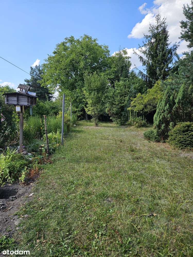 Wrocław / Psie Pole. Mieszkanie willowe o pow. 80m2, parter, ogródek-9