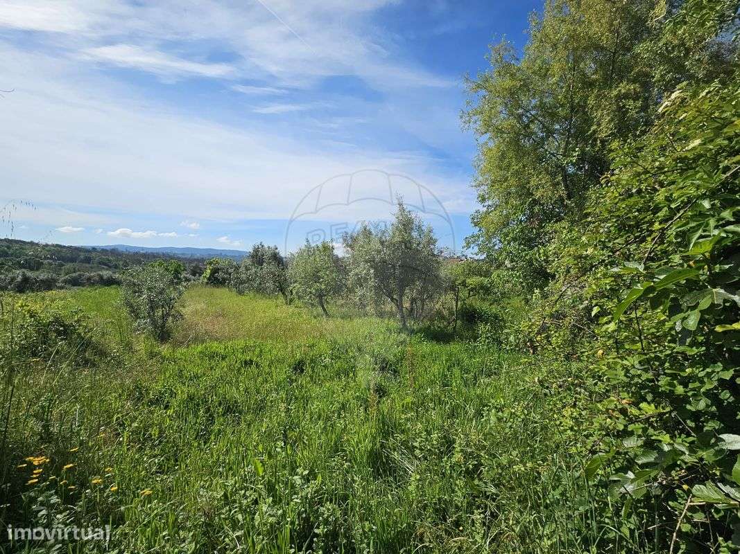 Terreno  para venda - Grande imagem: 4/11