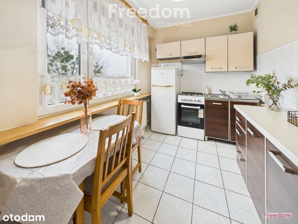 Kawalerka podzielona na salon i sypialnię- Północ - Pełny obrazek: 4/14