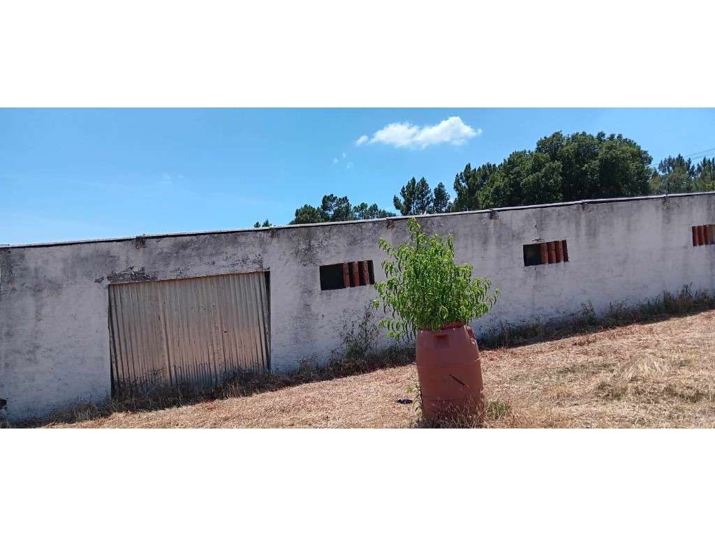 Vários Anexos para Recuperação com Terreno Venda Nova, Envendos - Grande imagem: 4/22