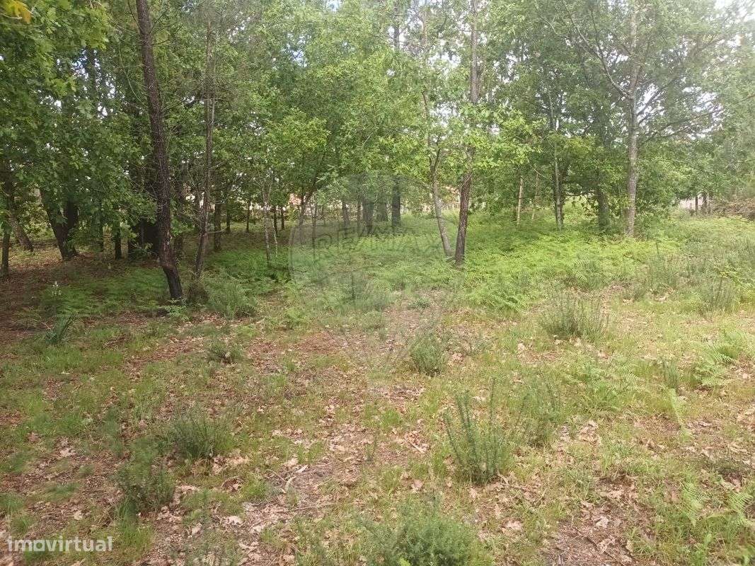 Terreno  para venda - Grande imagem: 4/11