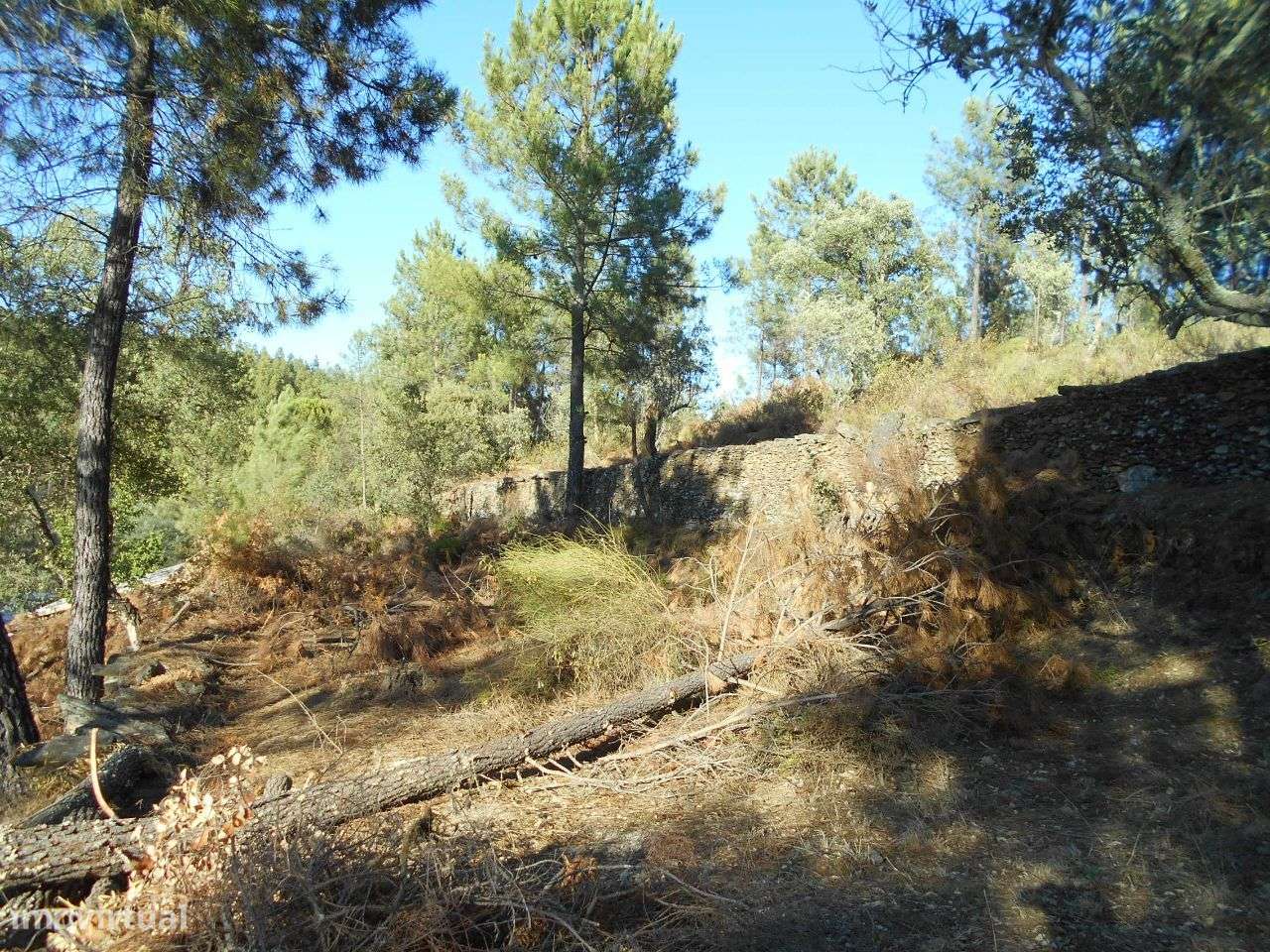 Quinta - Grande imagem: 4/7