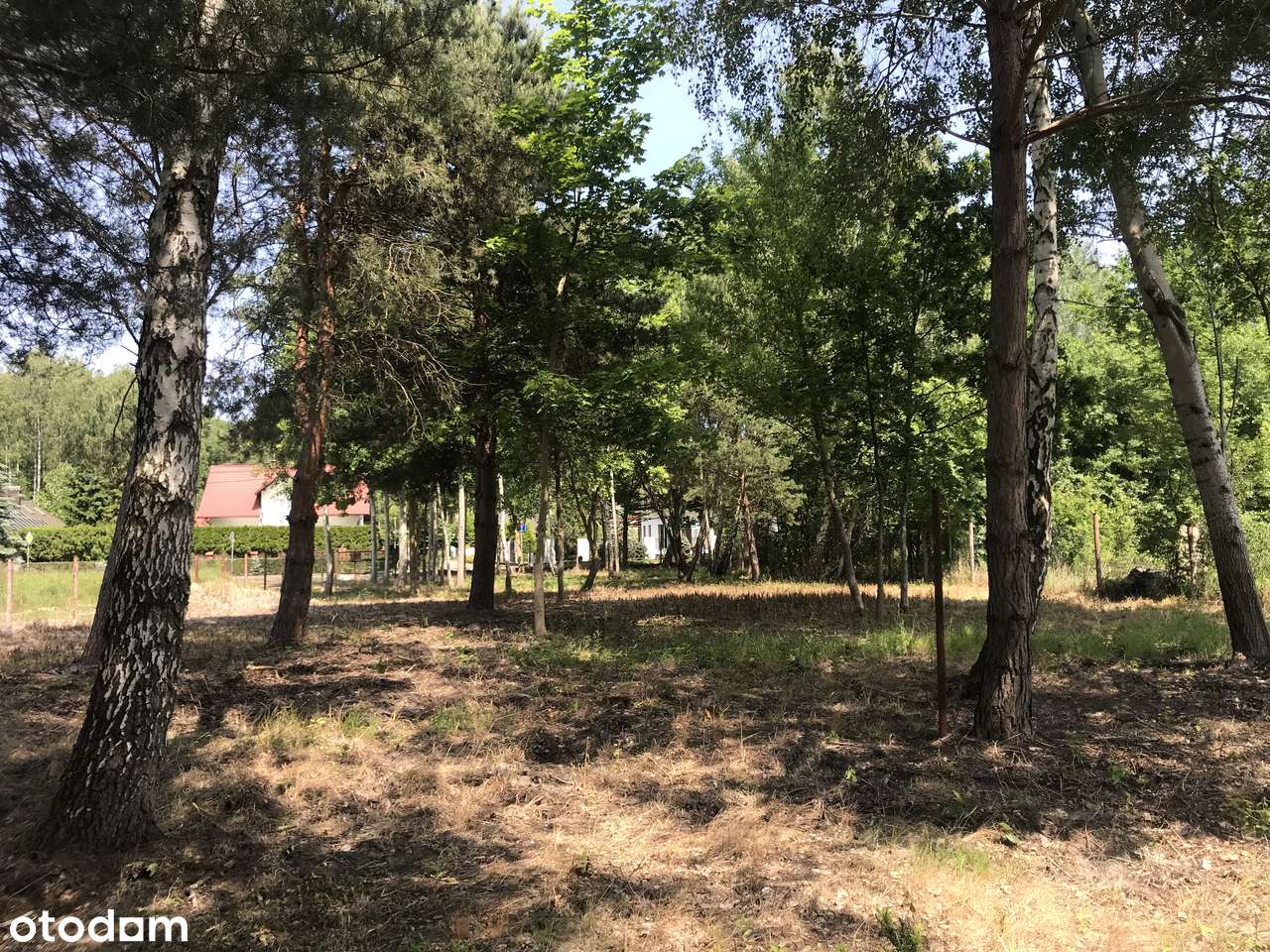 Sprzedam działkę budowlaną Łazy Magdalenka - Pełny obrazek: 5/15