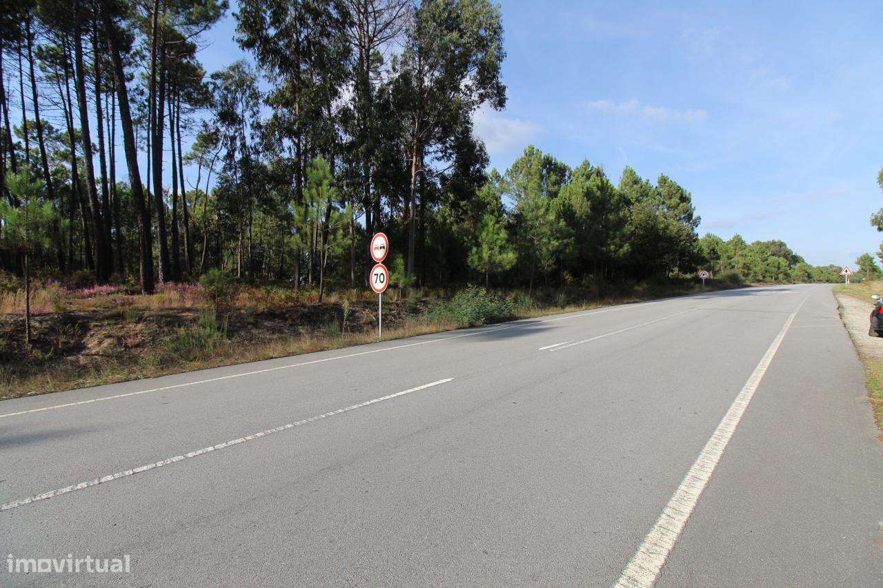 Terreno para Cultivo - Grande imagem: 3/3