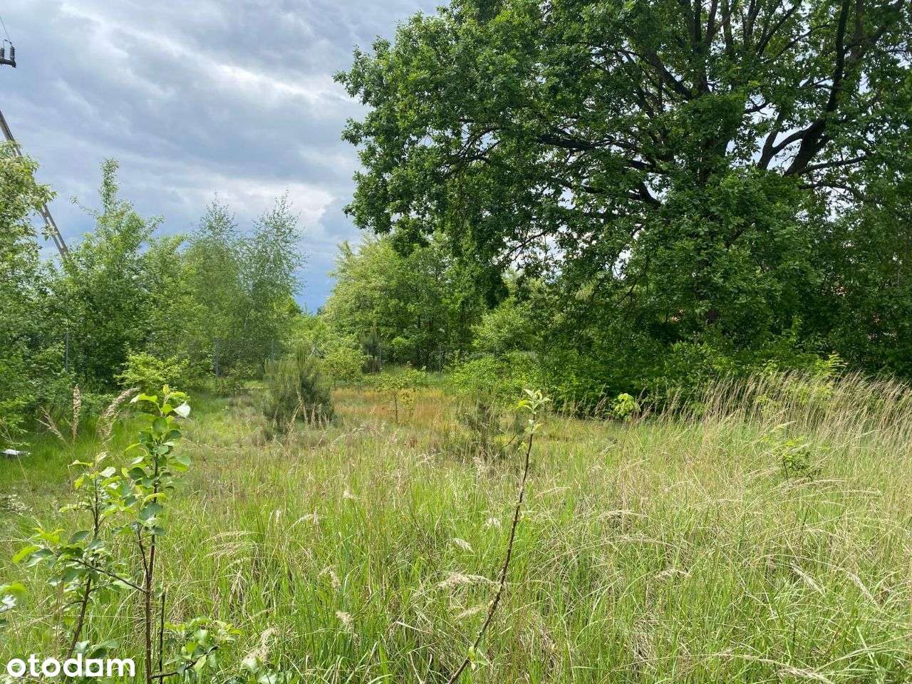 Piękna działka w Milanówku, ul. Dowcip