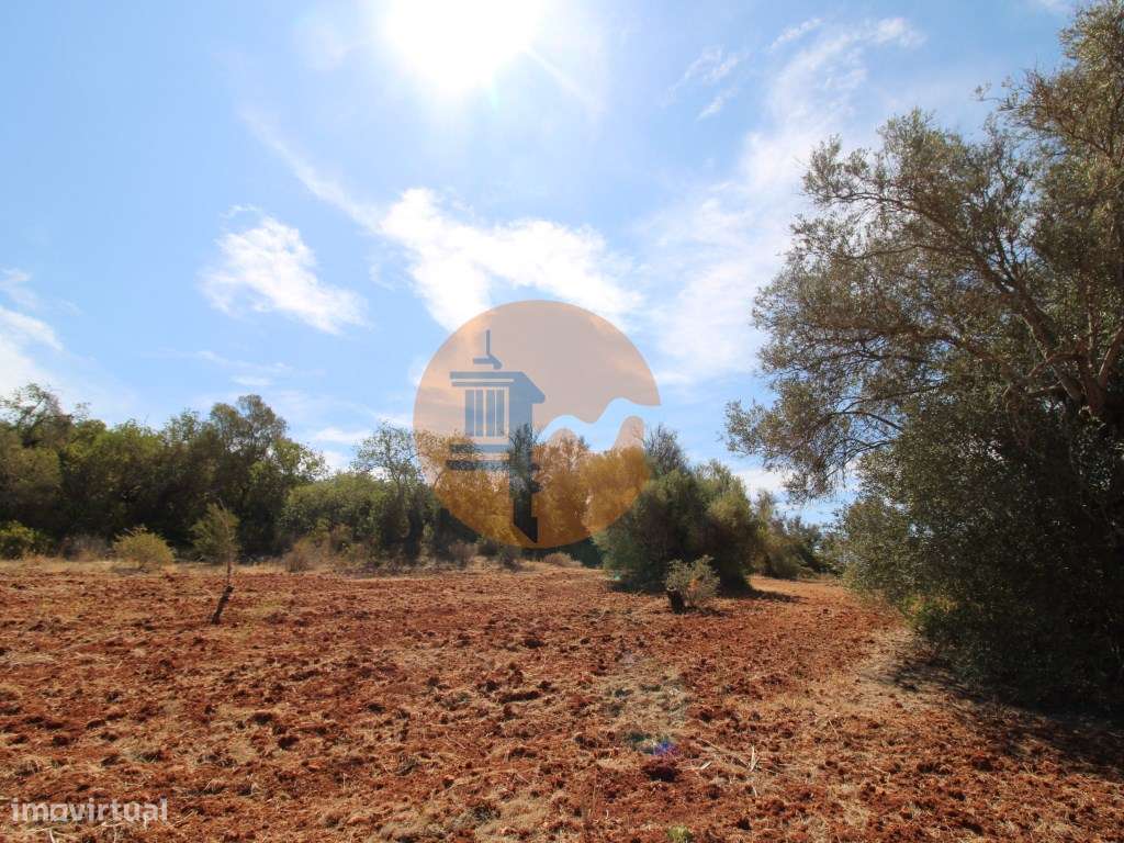 Terreno Rústico - Grande imagem: 2/23