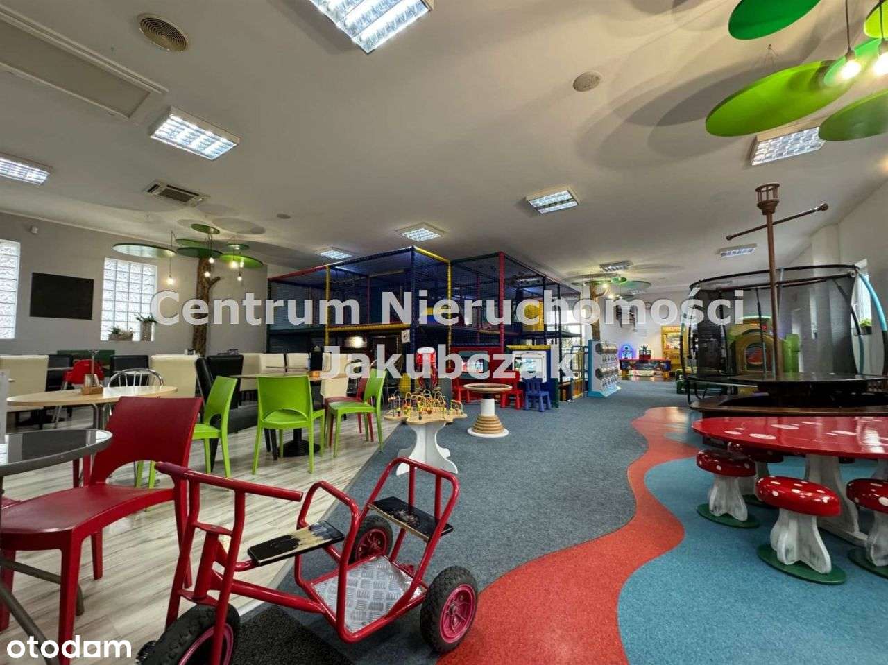 Lokal użytkowy, 450 m², Leszno-6