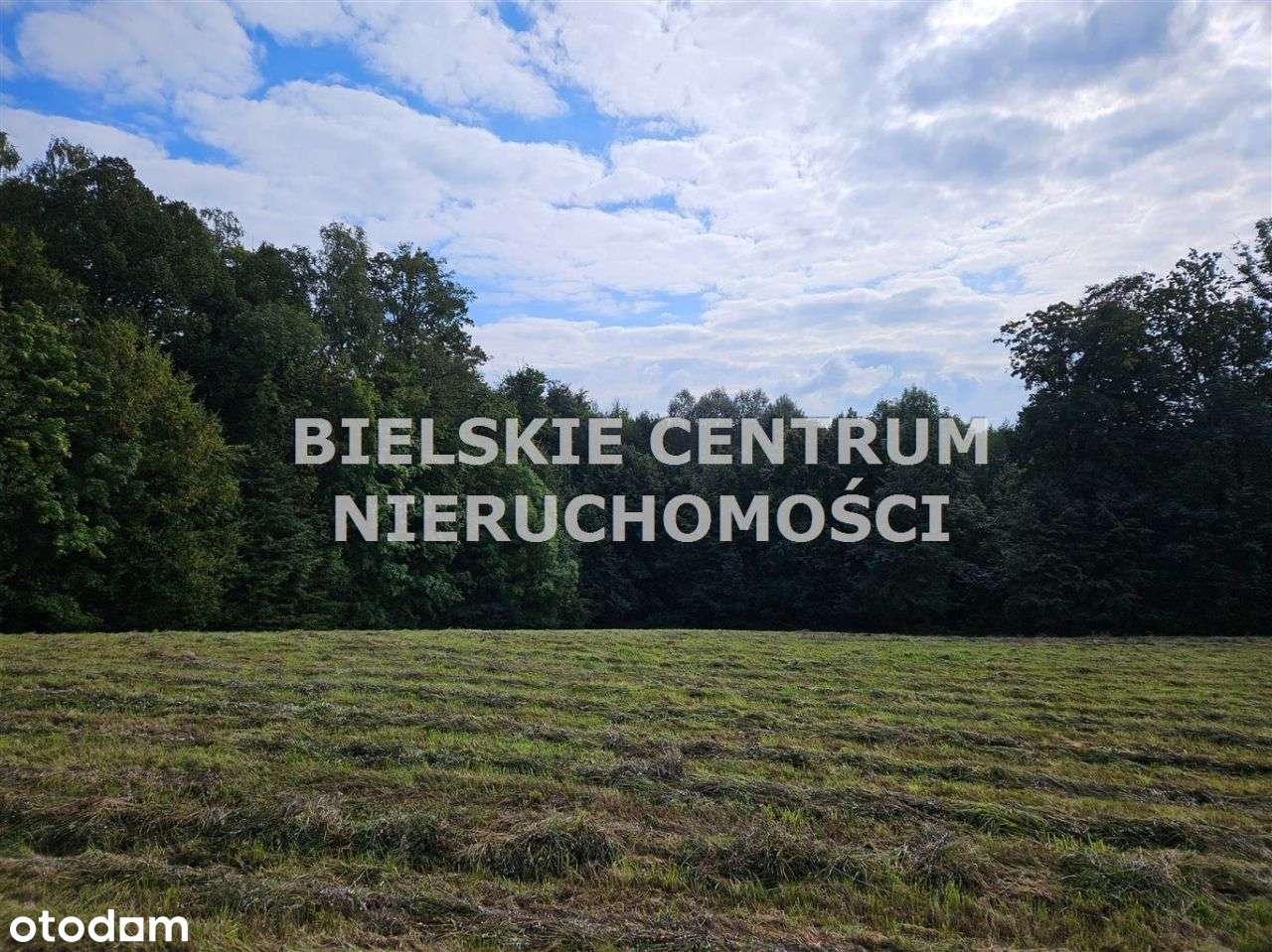 Działka, 13 942 m², Mazańcowice-6