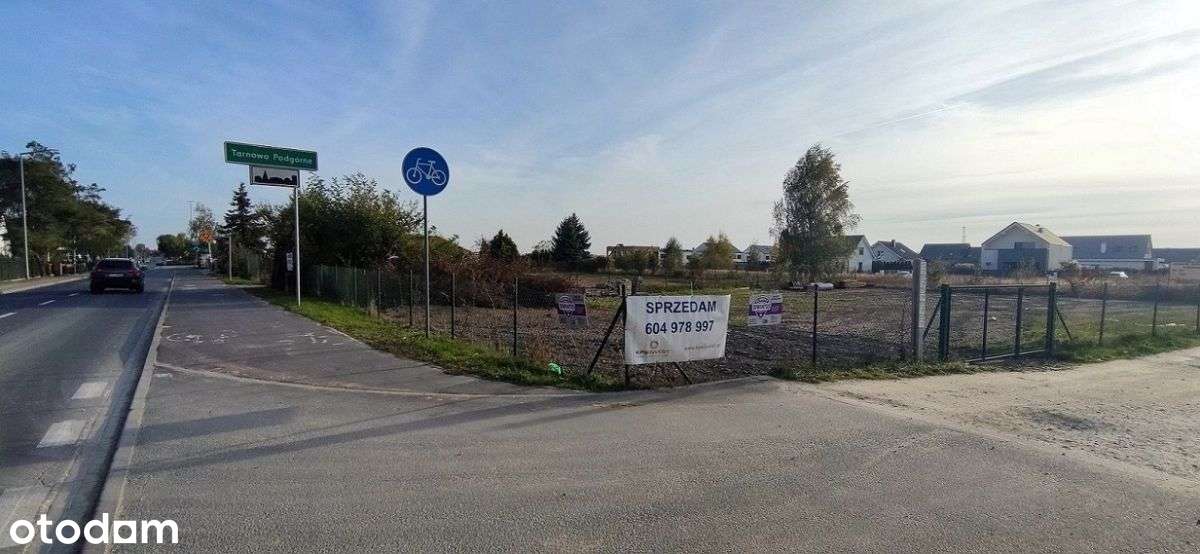 Tarnowo Podgórne - nowa niższa cena-11