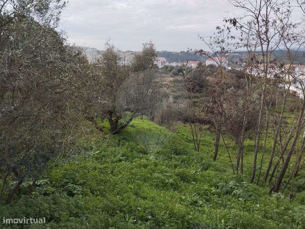 Terreno  para venda - Grande imagem: 2/5