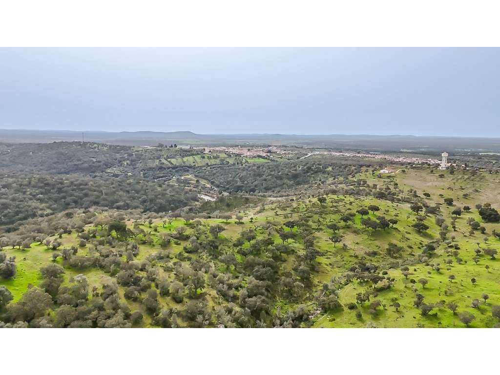 Herdade da Adua | 14 Hectares com Potencial Turístico e Agrícola - ...-8