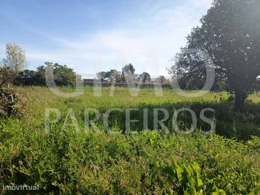 Moradia T3+Terreno-26