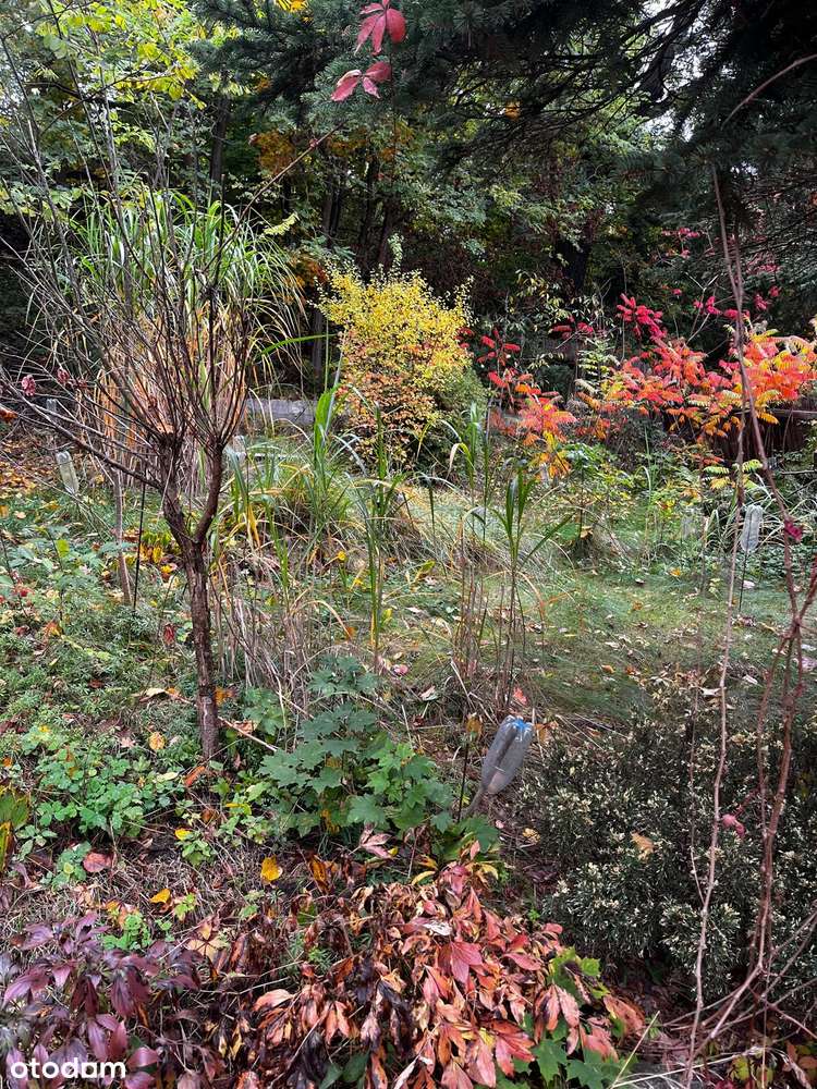 Sprzedam dom jednorodzinny w Bledzewie - Pełny obrazek: 5/20