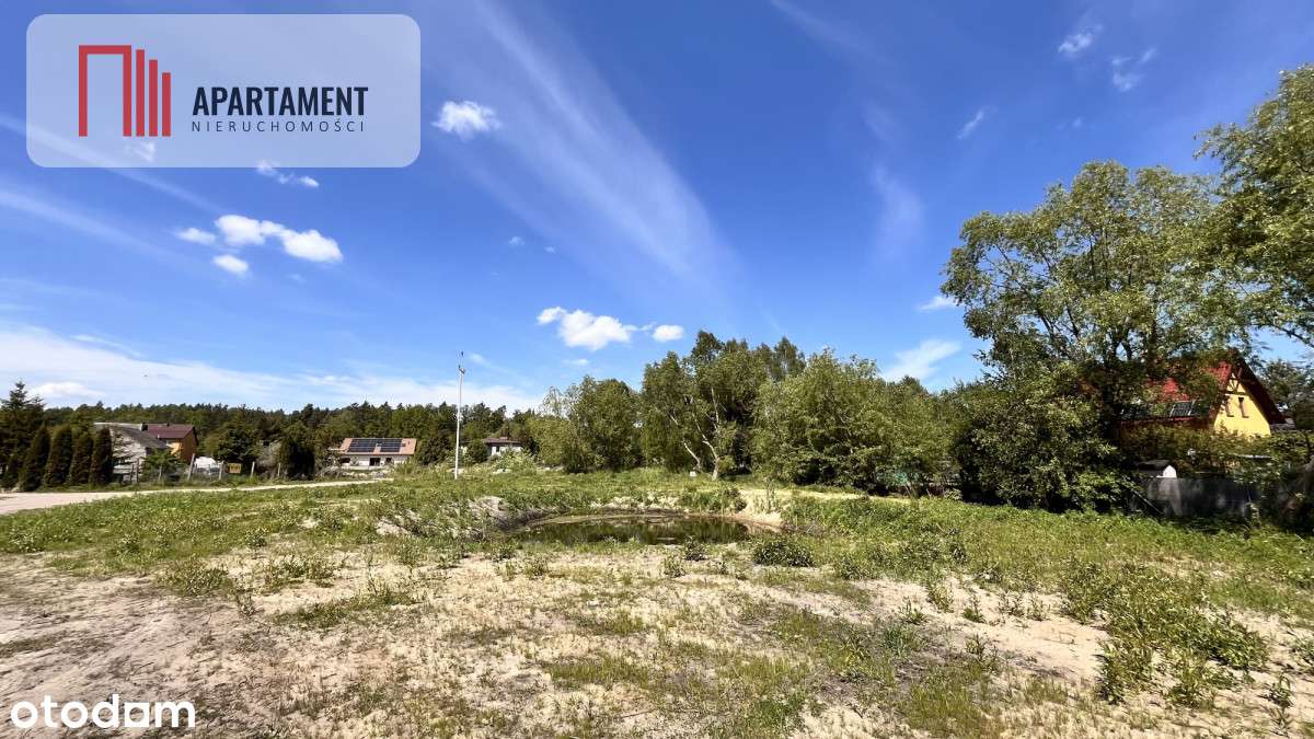 Działka 3000m2 ze stawem! Zabagno, 3km od A1 - Pełny obrazek: 4/11