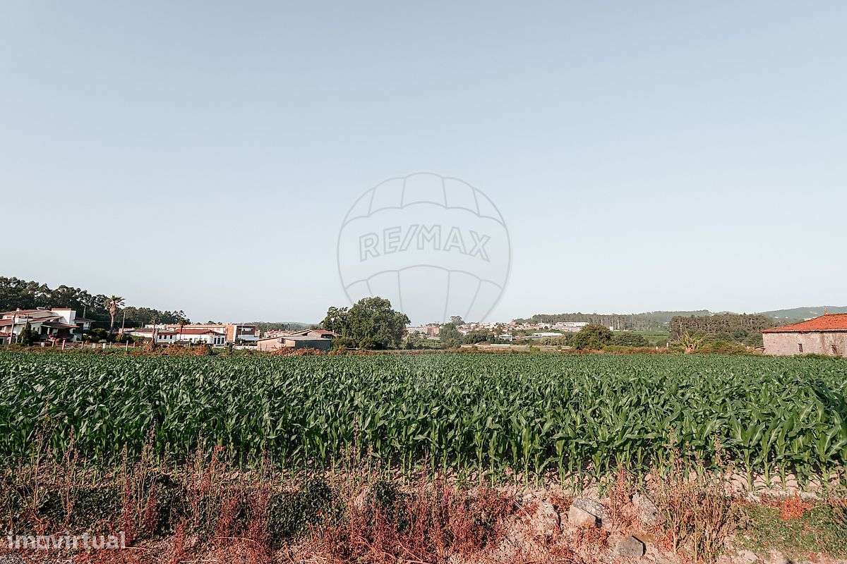 Terreno  para venda - Grande imagem: 4/8