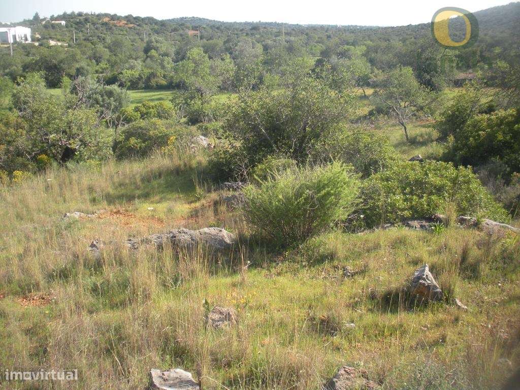 Terreno Rústico Venda Loulé - Grande imagem: 4/5