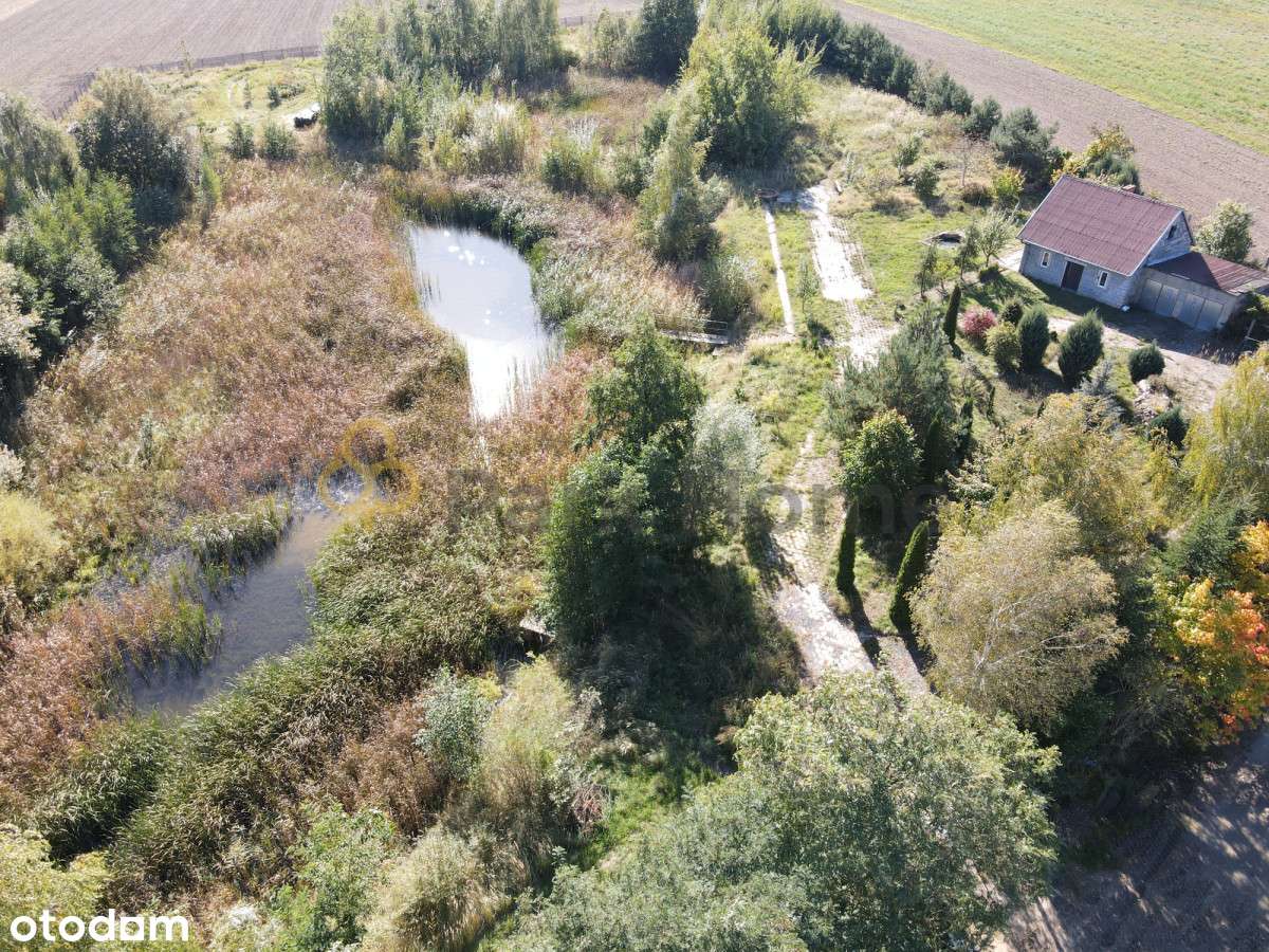 Własna zielona przestrzeń z potencjałem? To tu! - Pełny obrazek: 5/9