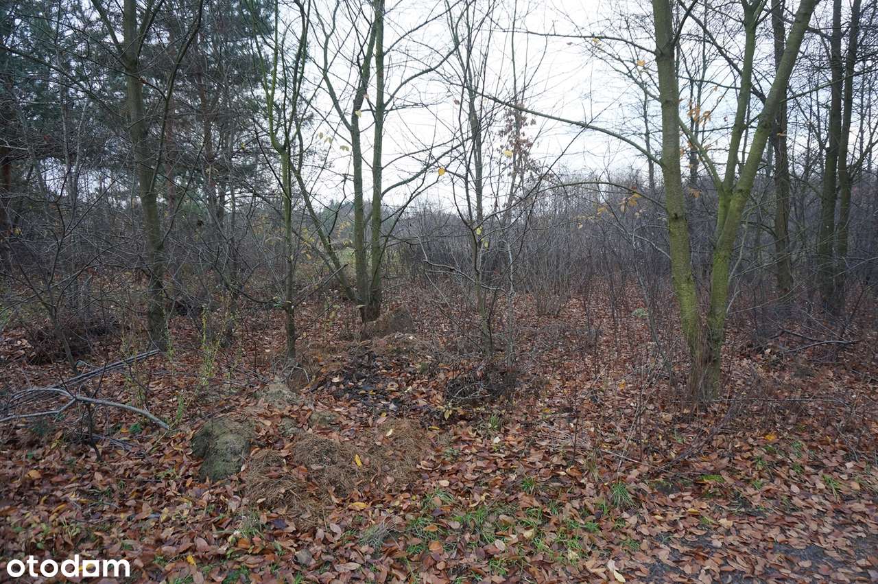 Działka budowlana w Aleksandrii k. Ozorkowa (1.191 m2) - Pełny obrazek: 4/8