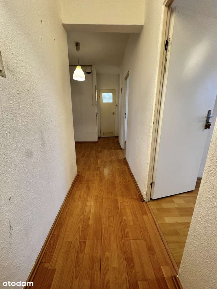 Duże i słoneczne w niskim bloku-11