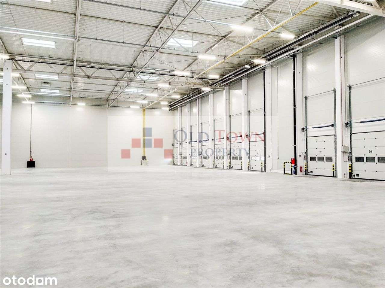 Hala magazynowa klasy A Niemce 8892 m2 - Pełny obrazek: 4/6