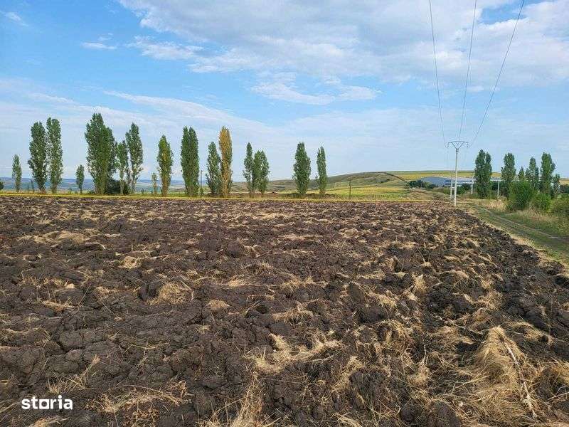 Teren industrial in Tureni langa nod drum expres pentru autostrada A3 - Imagine principală: 5/8