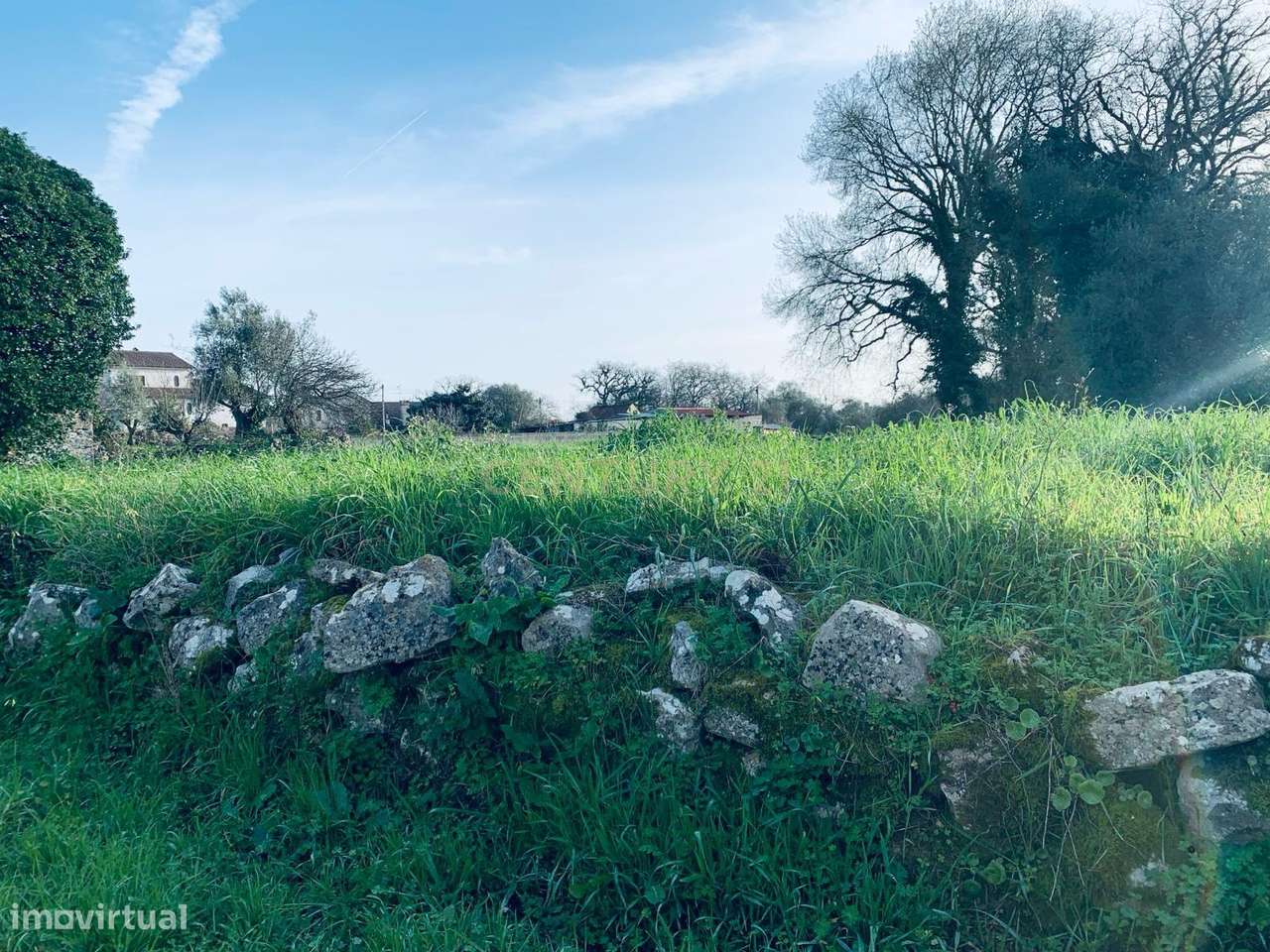 Terreno Urbano - Grande imagem: 5/19