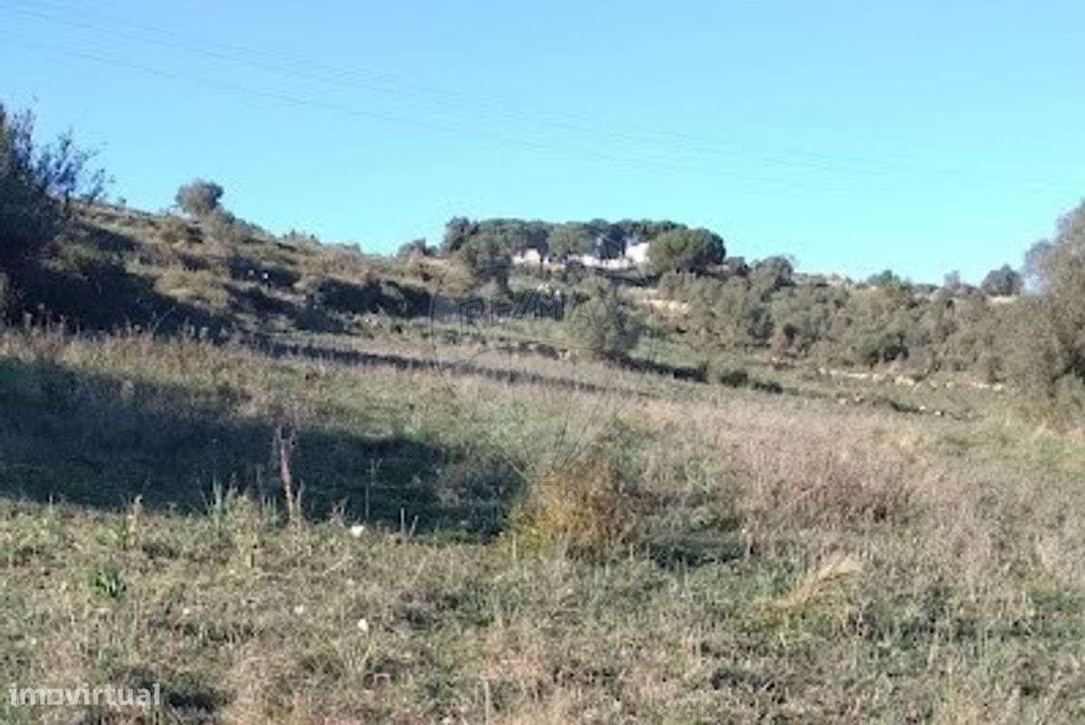 Terreno  para venda - Grande imagem: 3/13